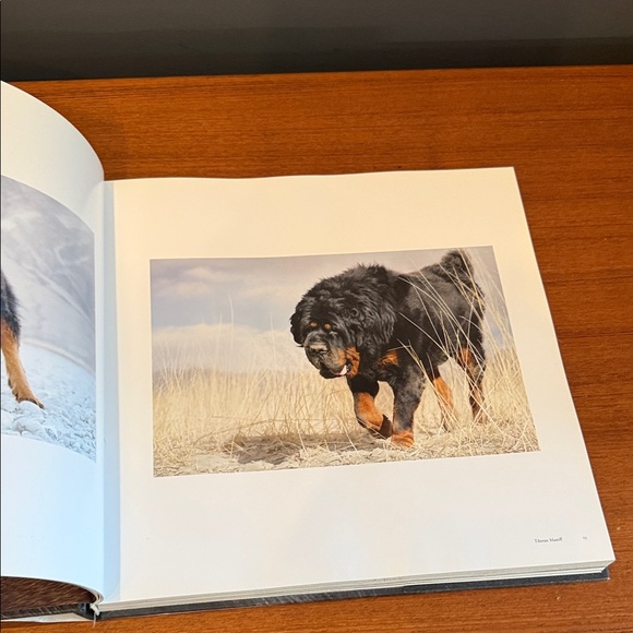 Dogs Book - Black Cover - Picture 4 of 17